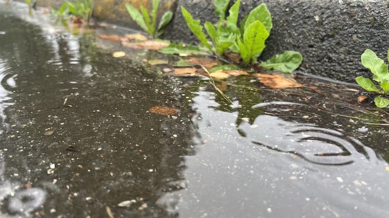 En halv måneds regn truer Danmark – gør din bolig klar nu, råder ekspert